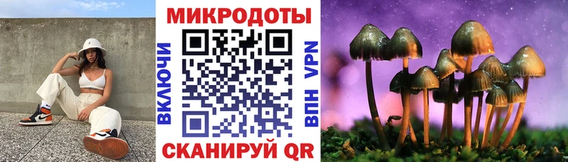 как найти наркотики Приволжский Галлюциногенные грибы мухоморы